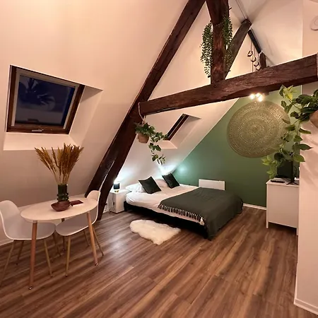 Le Nid Douillet - Hypercentre -