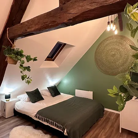 Le Nid Douillet - Hypercentre - Apartment