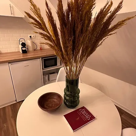 Le Nid Douillet - Hypercentre - Apartment