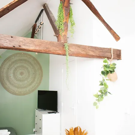 Le Nid Douillet - Hypercentre - Apartment *