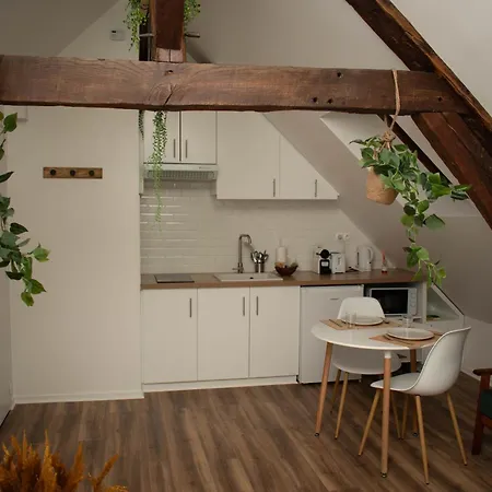 Le Nid Douillet - Hypercentre - Apartment Beauvais