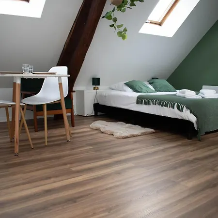 Le Nid Douillet - Hypercentre - *