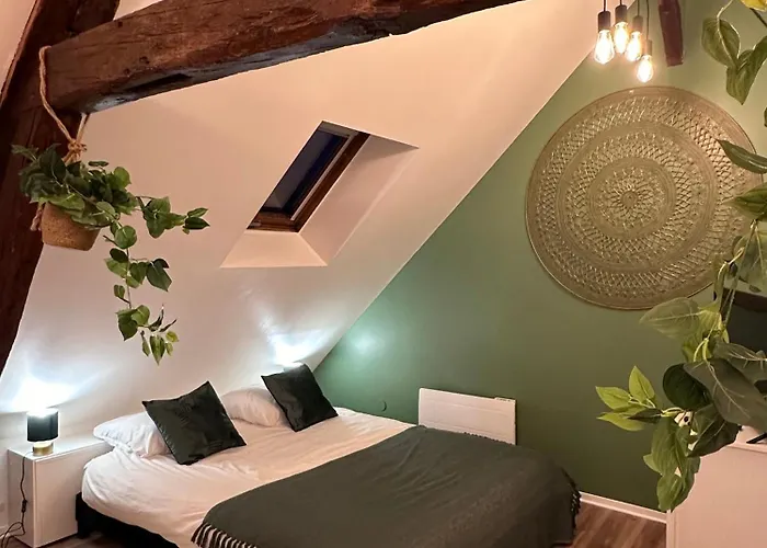 Le Nid Douillet - Hypercentre - Apartment