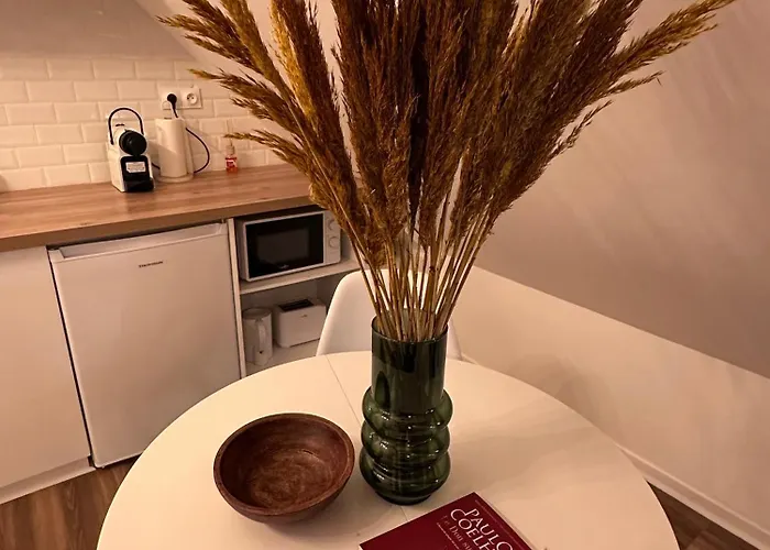 Le Nid Douillet - Hypercentre - Apartment